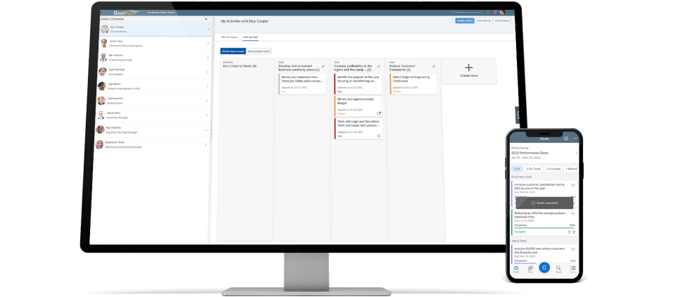 SuccessFactors Goals