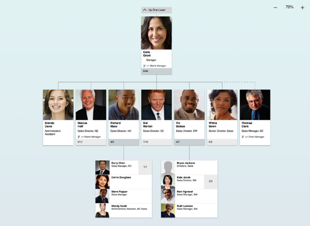 Position Org Chart In Successfactors